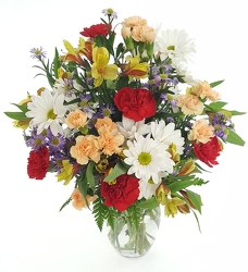 Cheerful Wishes from Lagana Florist in Middletown, CT
