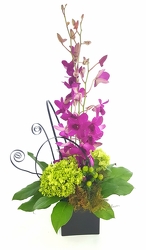 Contemporary Island  from Lagana Florist in Middletown, CT