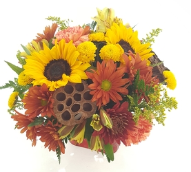 Festive Fall from Lagana Florist in Middletown, CT