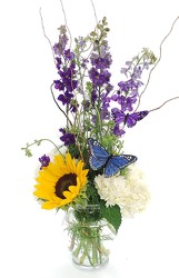 Butterfly Breeze from Lagana Florist in Middletown, CT
