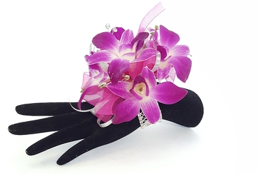 Fancy Purple Dendrobium Corsage from Lagana Florist in Middletown, CT