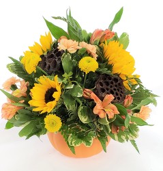 Pumpkin Planter from Lagana Florist in Middletown, CT