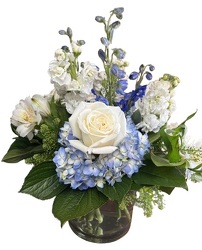 Blue Skies Cylinder from Lagana Florist in Middletown, CT