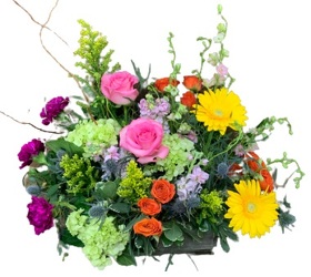 Spring into Spring from Lagana Florist in Middletown, CT