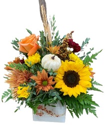 Fallen Leaves from Lagana Florist in Middletown, CT