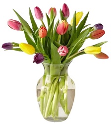 Simple Tulips from Lagana Florist in Middletown, CT