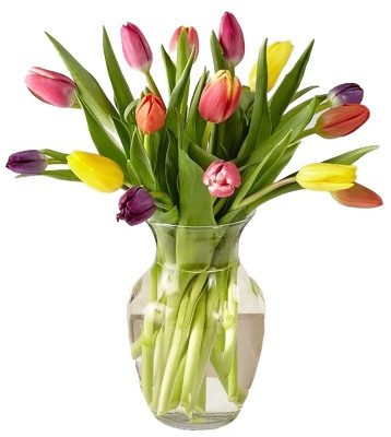 Simple Tulips