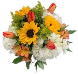 Sunshine Meadows from Lagana Florist in Middletown, CT