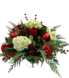 Christmas Compote from Lagana Florist in Middletown, CT