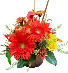 Pumpkin Planter from Lagana Florist in Middletown, CT