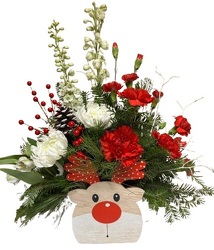 Rudolph's Wish from Lagana Florist in Middletown, CT