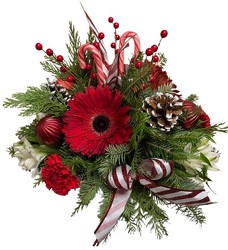 Candy Cane Lane from Lagana Florist in Middletown, CT
