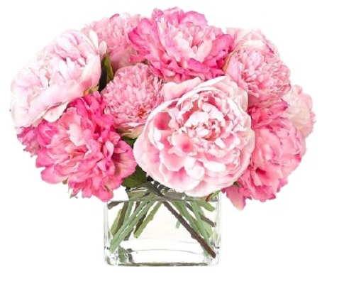 PERFECT PEONY