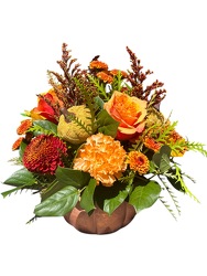 Harvest Pumpkin from Lagana Florist in Middletown, CT