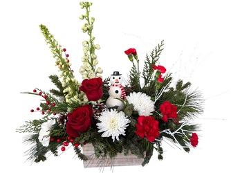 Frosty's Winter Wonderland from Lagana Florist in Middletown, CT
