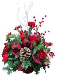Cardinal Christmas from Lagana Florist in Middletown, CT