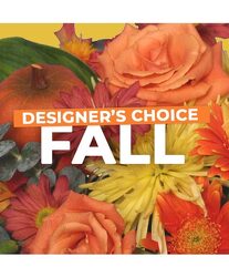 Designers Choice Fall from Lagana Florist in Middletown, CT