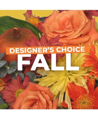 Designers Choice Fall