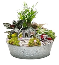 Fairy Garden of Weedin' 10 in. from Lagana Florist in Middletown, CT