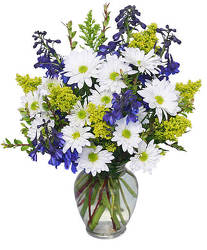 Lazy Daisy & Delphinium from Lagana Florist in Middletown, CT