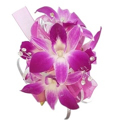 Fancy Purple Dendrobium Corsage from Lagana Florist in Middletown, CT
