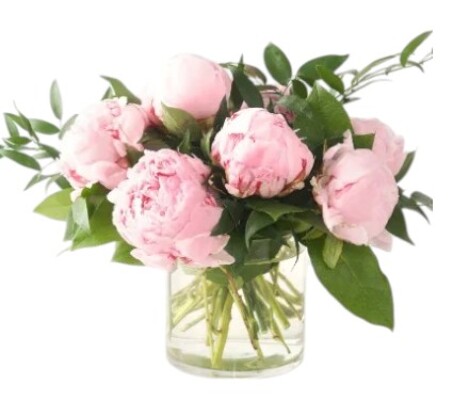 Perfect Peony