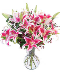 Sincere Stargazers from Lagana Florist in Middletown, CT