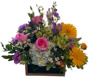 Spring into Spring from Lagana Florist in Middletown, CT