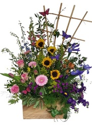 Tranquil Trellis  from Lagana Florist in Middletown, CT